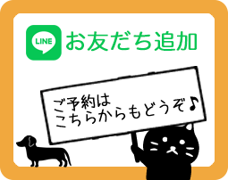 お友だち追加 ご予約はこちらからもどうぞ♪