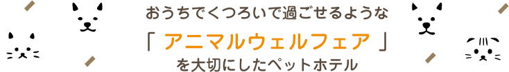 おうちでくつろいで過ごせるような「 アニマルウェルフェア 」を大切にしたペットホテル